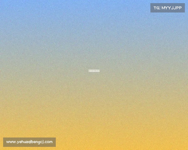 空手道比赛现场